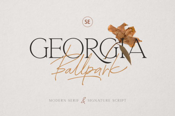 Georgia Ballpark: An Elegant Duo for Timeless Design